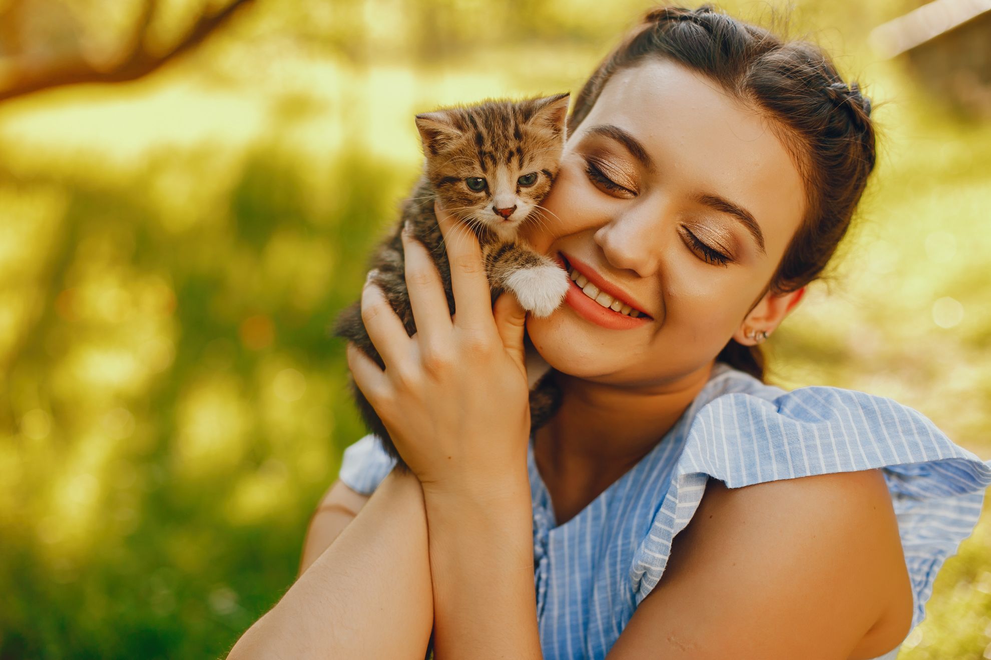 The Complete and Only Guide to CBD Oil for Cats You'll Ever Need