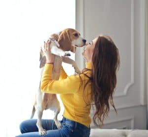 side effects of cbd oil in dogs