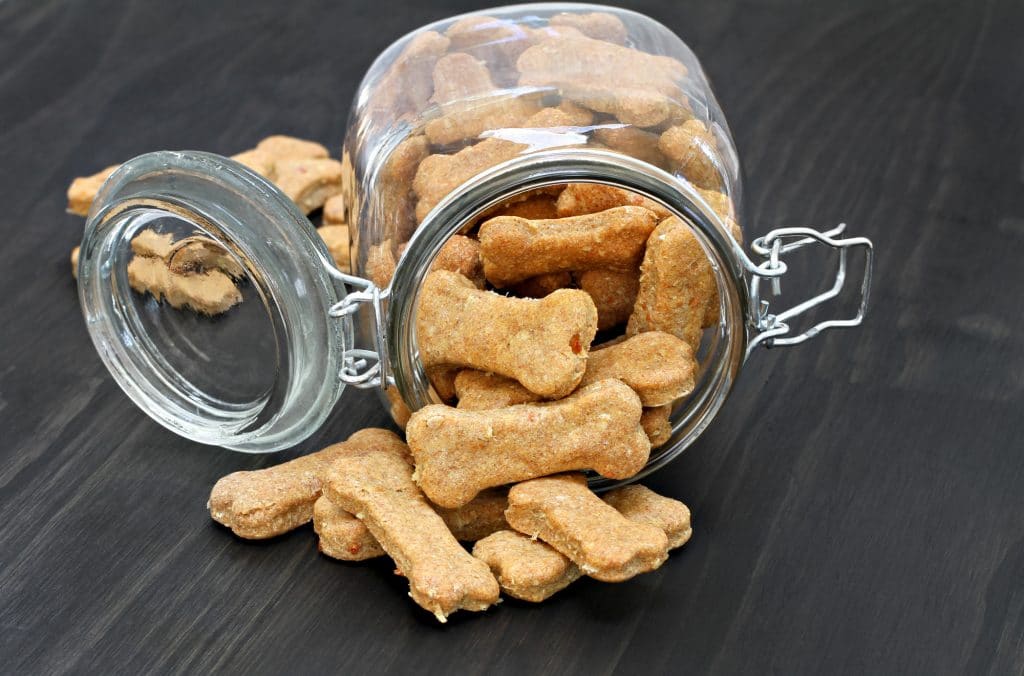 treats for dogs