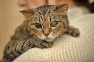 situational anxiety